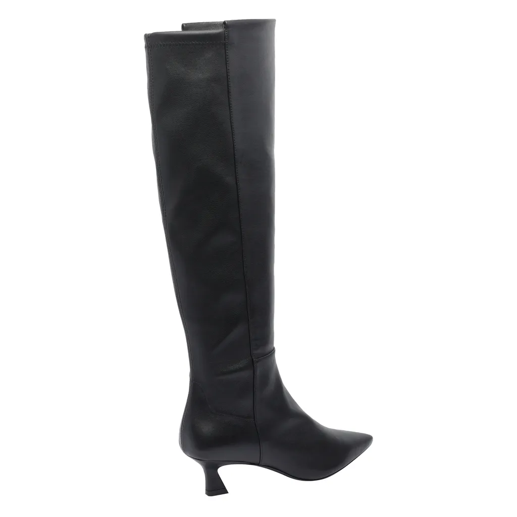 Pointed-Toe Boots
