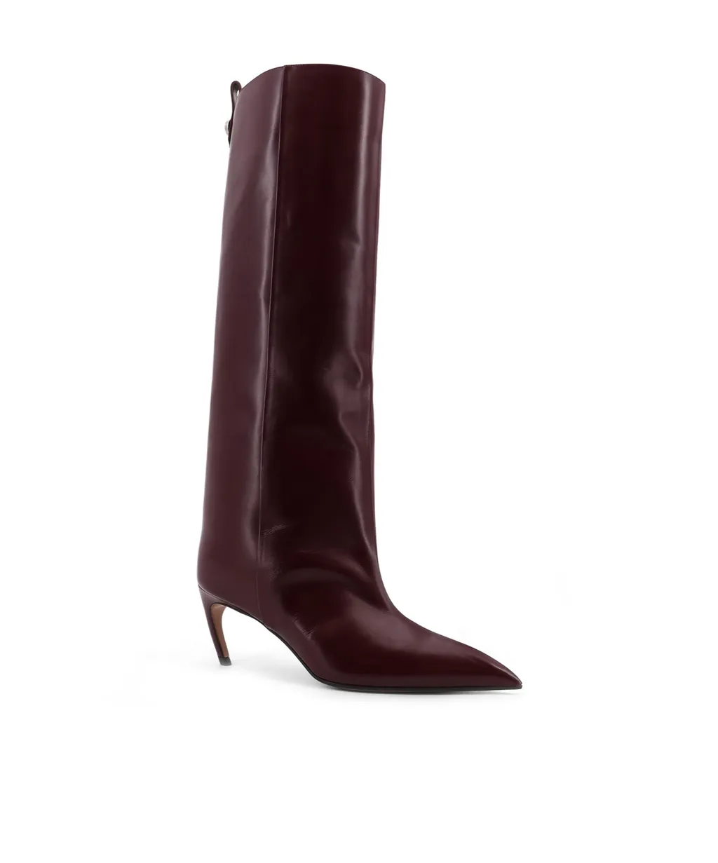 Pointed Toe Boots