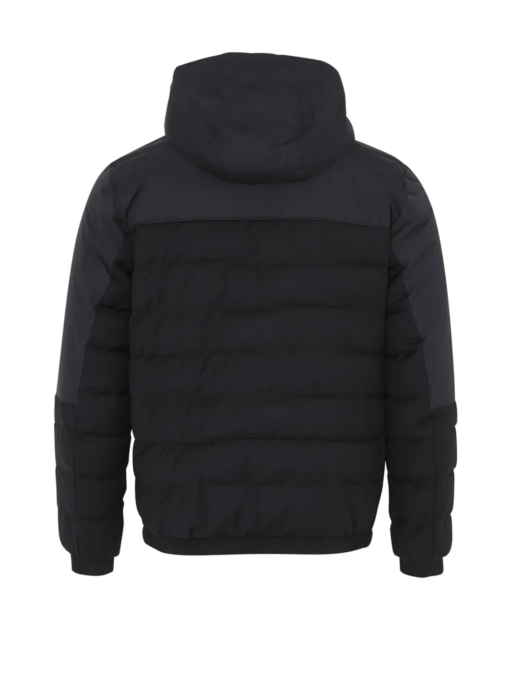 Hooded Cotton-Padded Jacket
