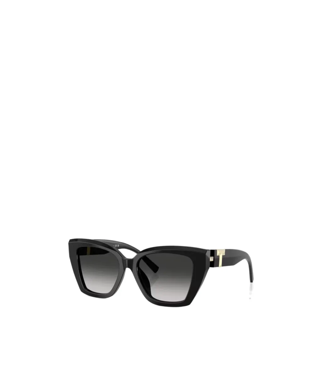 Full Frame Sunglasses