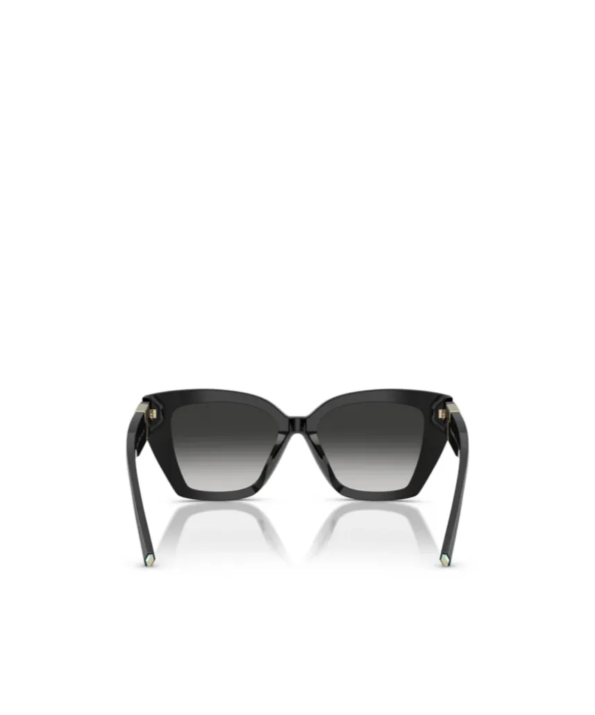 Full Frame Sunglasses
