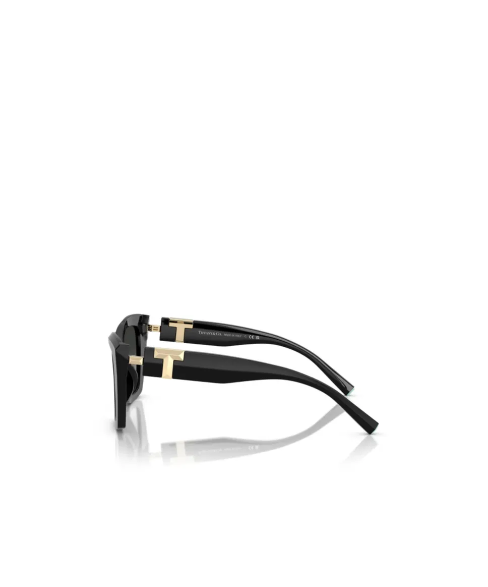 Full Frame Sunglasses