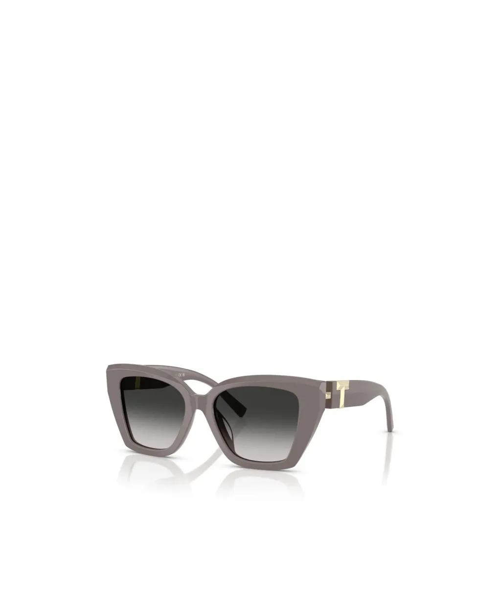 Full Frame Sunglasses