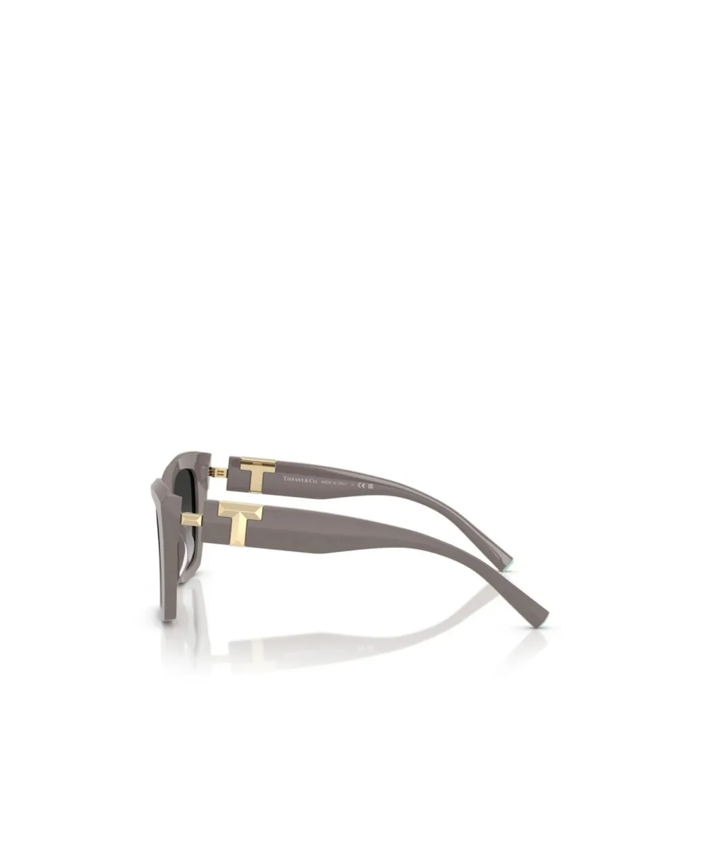 Full Frame Sunglasses