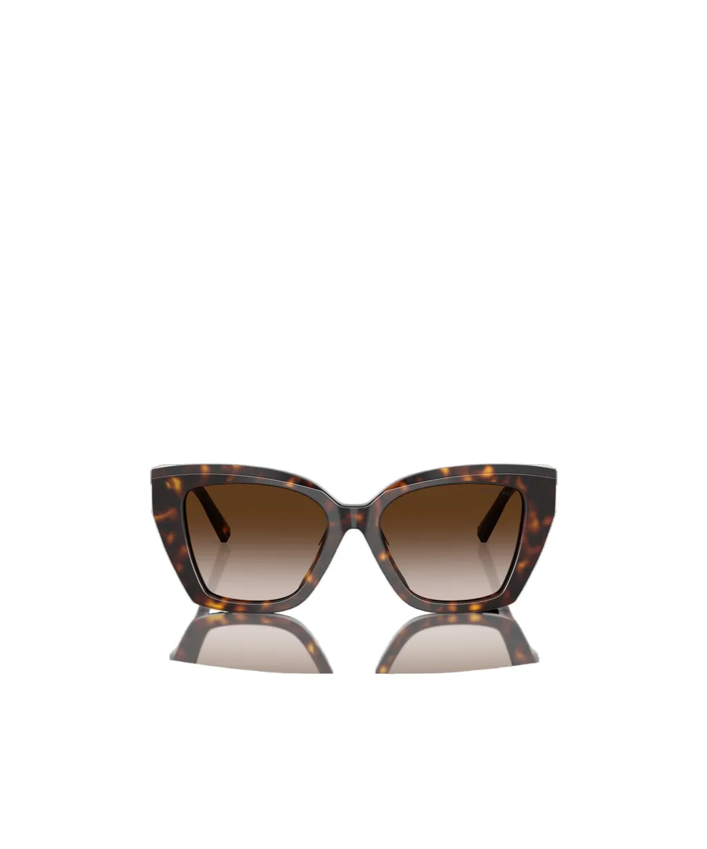 Full Frame Sunglasses