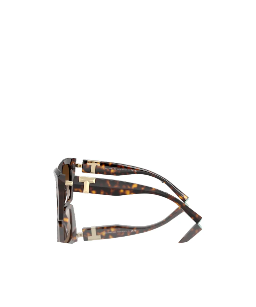 Full Frame Sunglasses