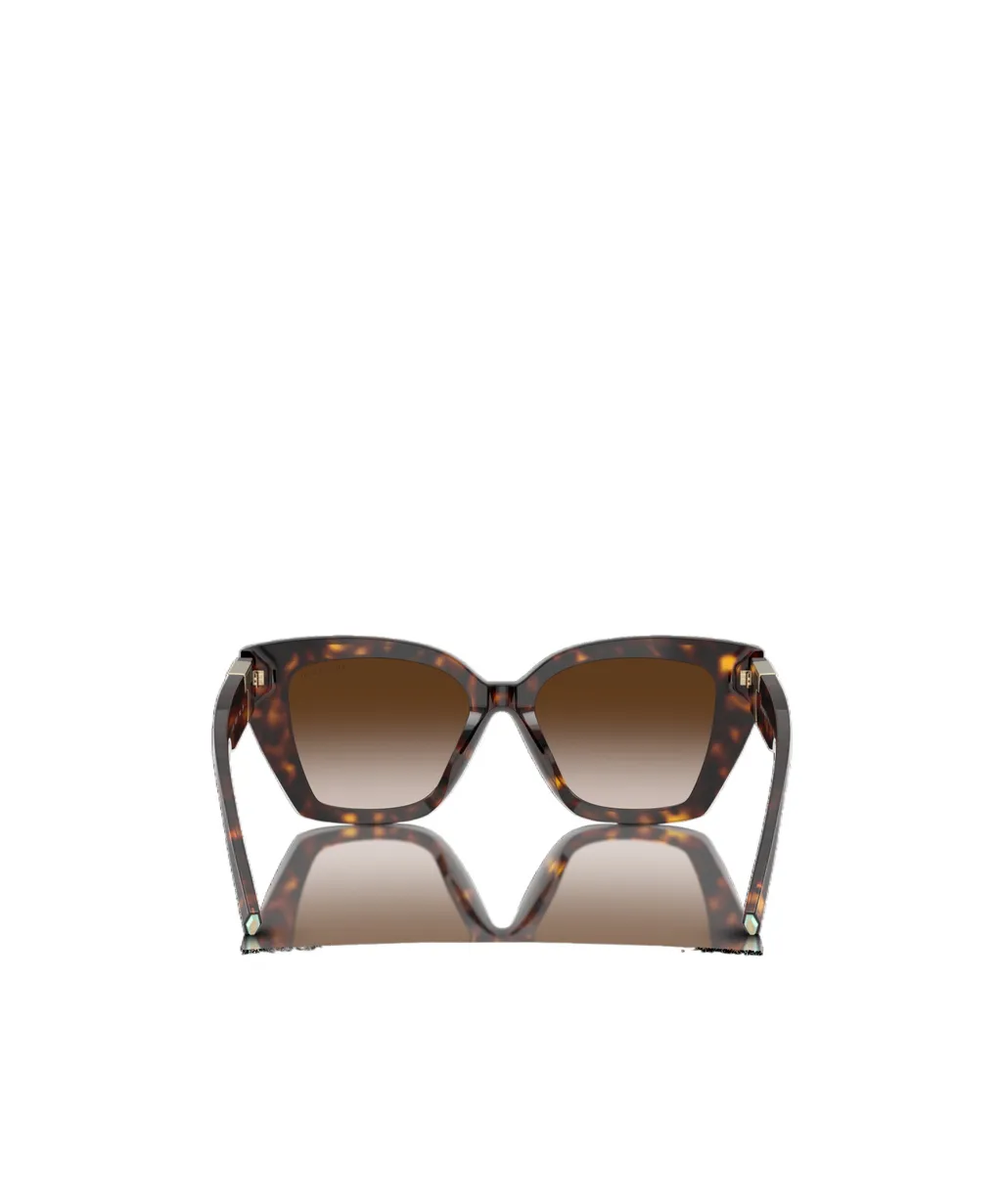 Full Frame Sunglasses