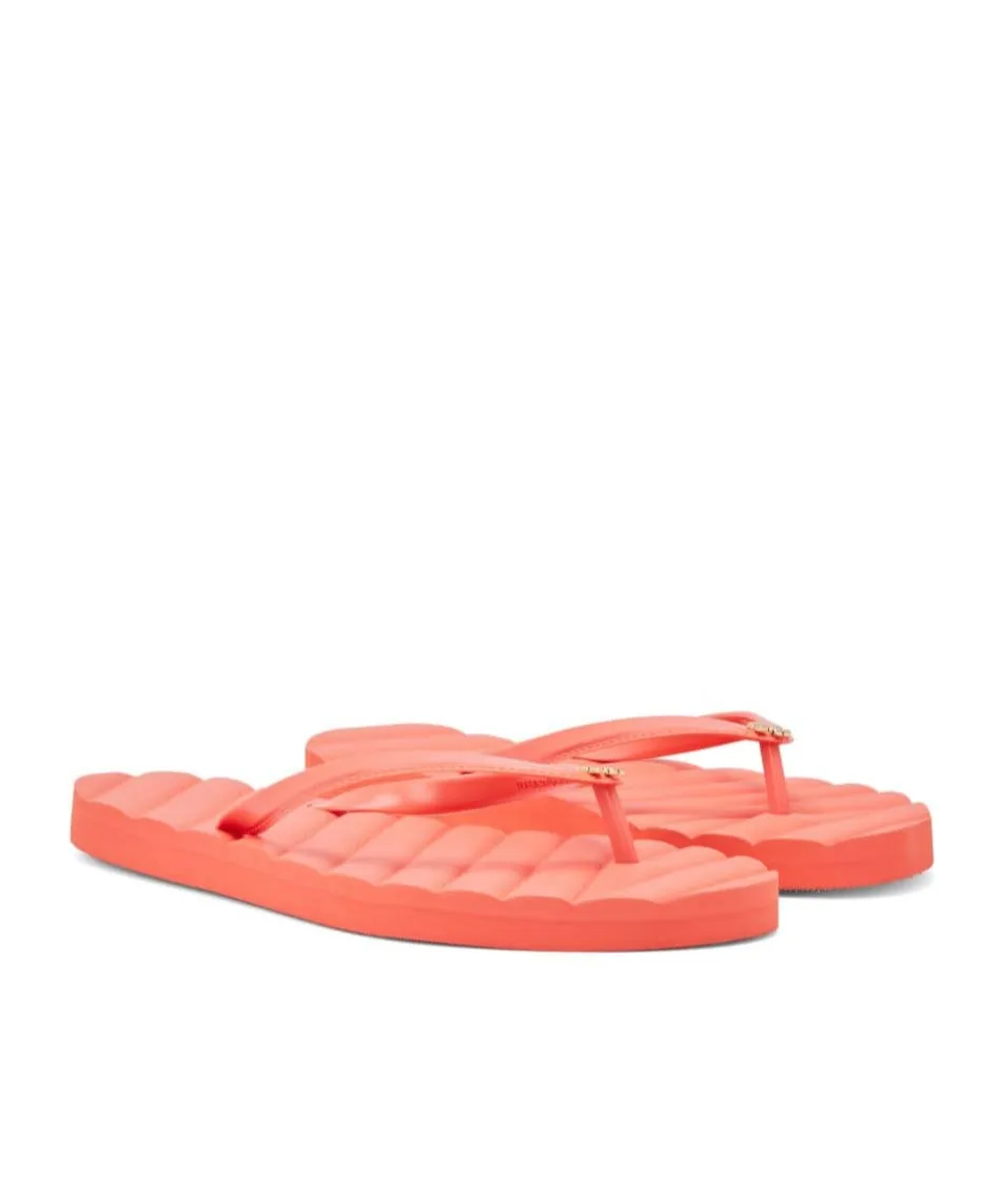 Flip-Flops