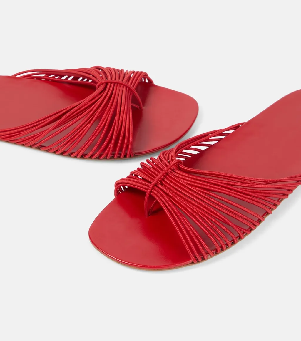 Sara Slides