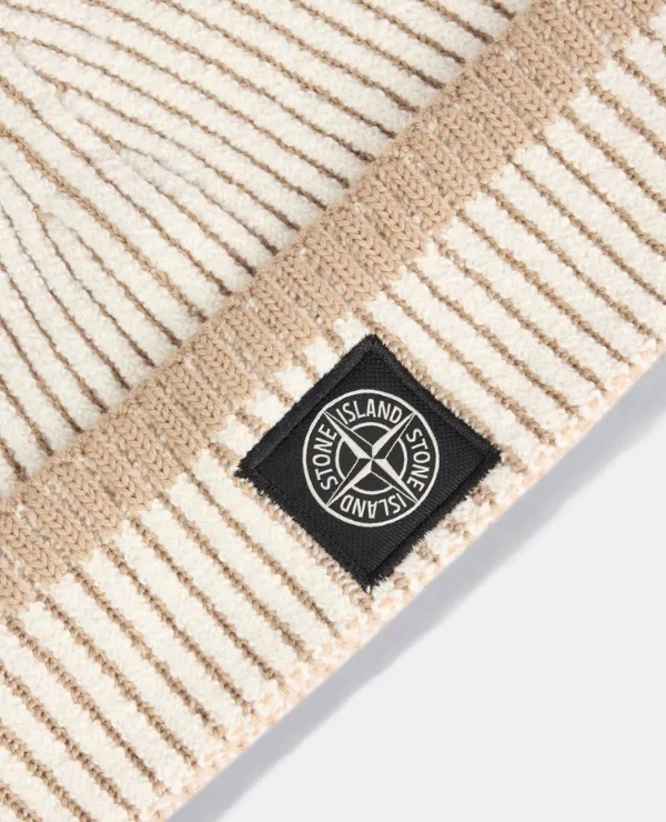 Compass Patch Beanie