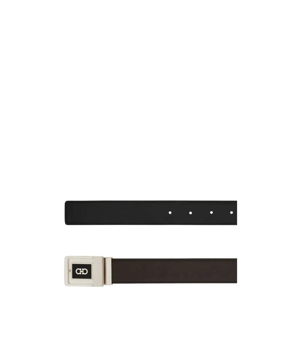 Reversible And Adjustable Belt
