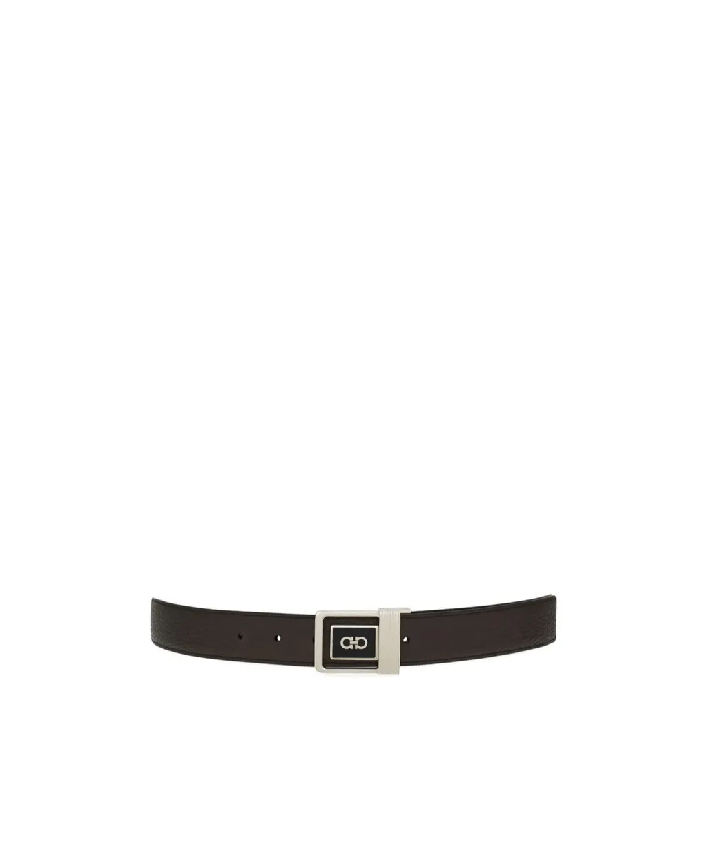 Reversible And Adjustable Belt