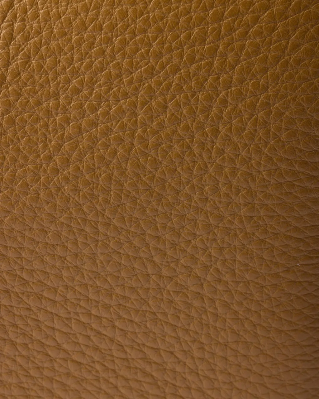 Logo Detailed Zipped Medium Crossbody Bag
