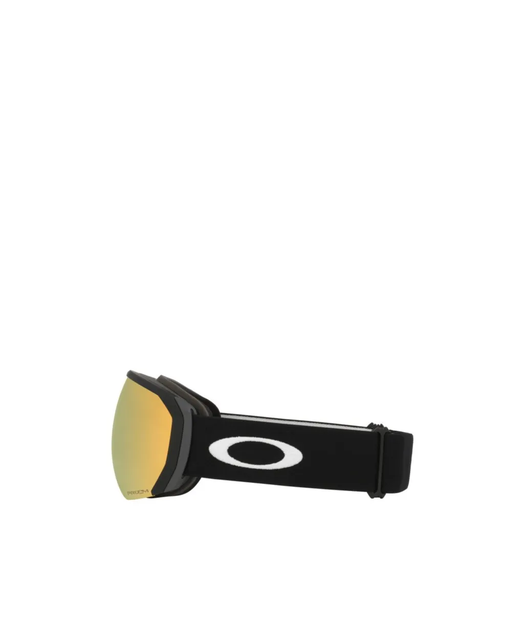 Ski Goggles
