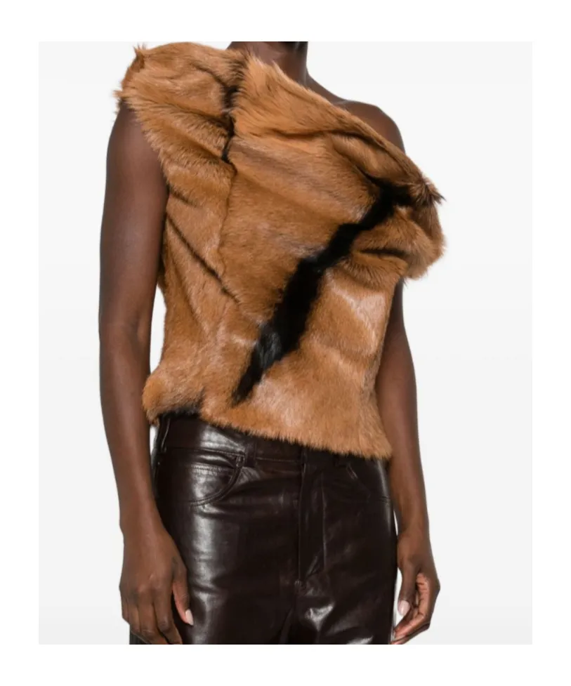 Asymmetrical Top