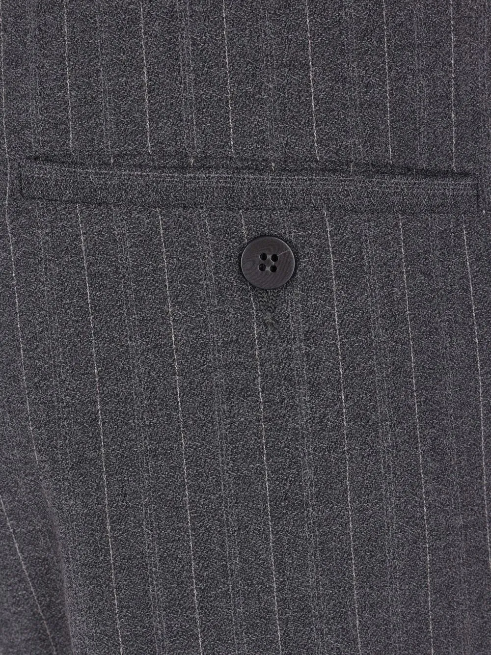 Pinstripe Pleated Pants