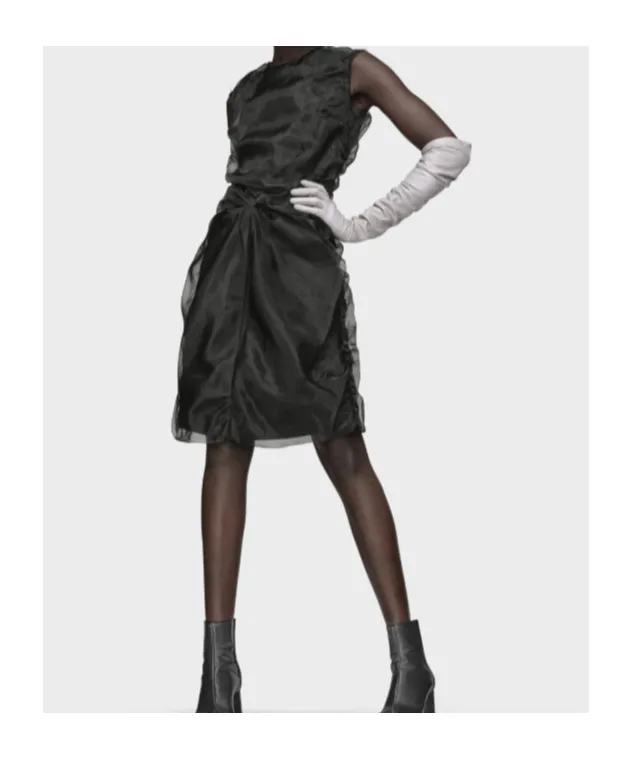 Gathered Organza Dress