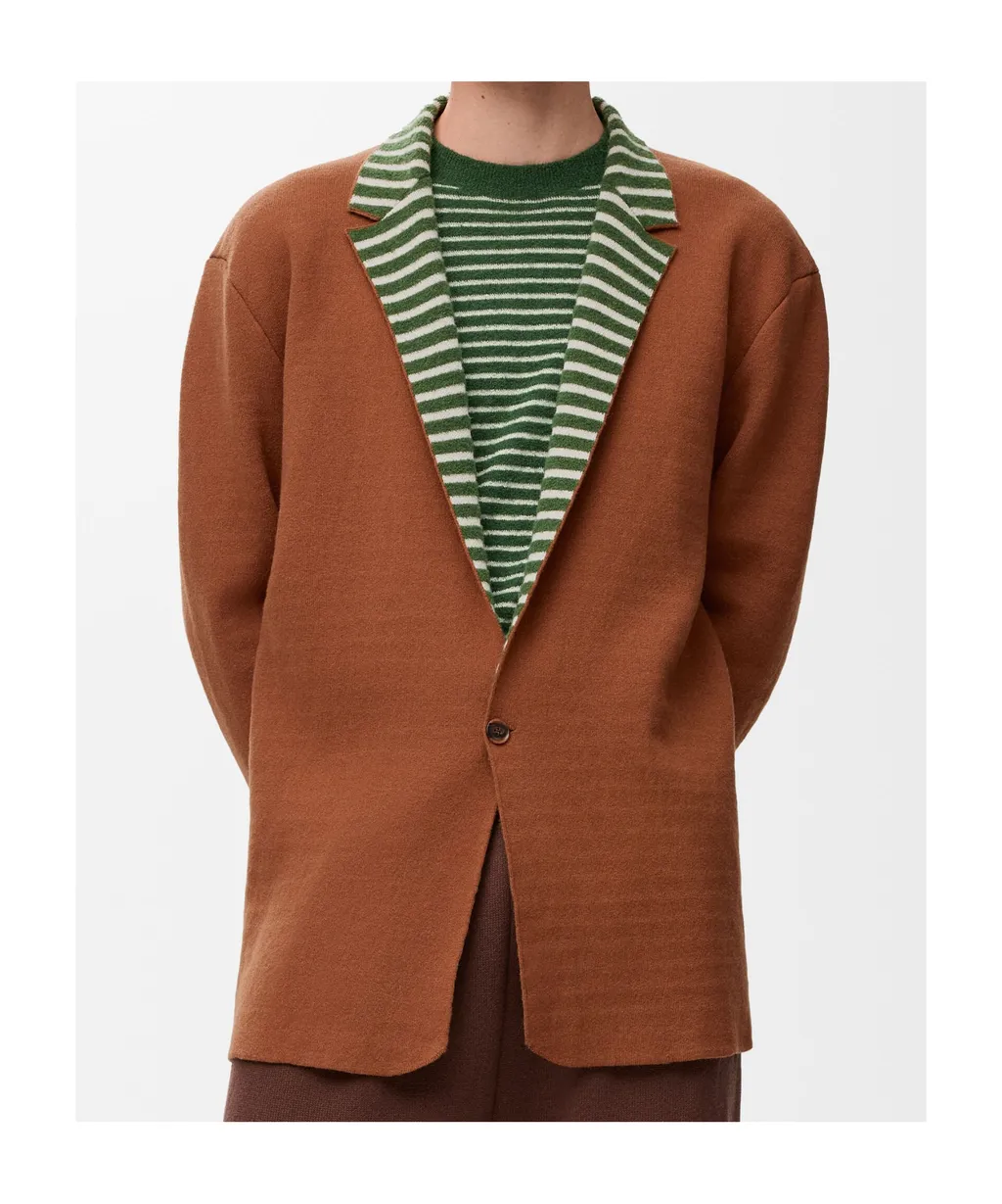 Single-Breasted Striped Jacket