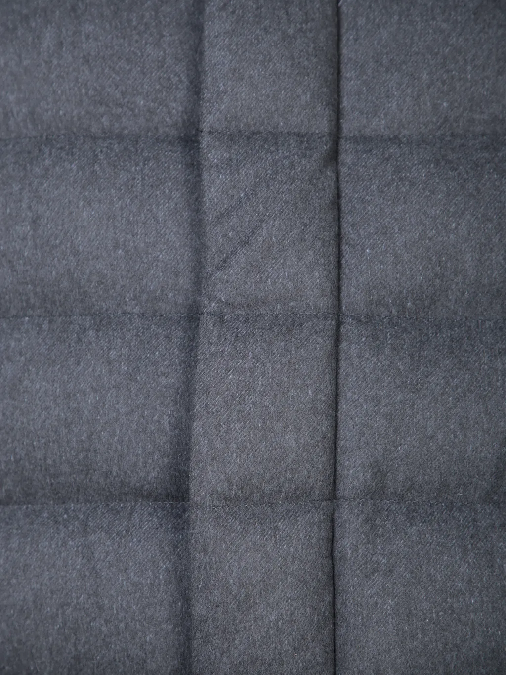 Regular Fit Padded Coat