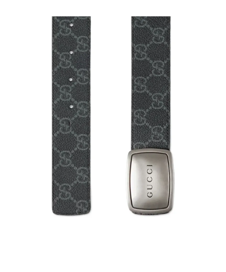 Belt With Plaque Buckle