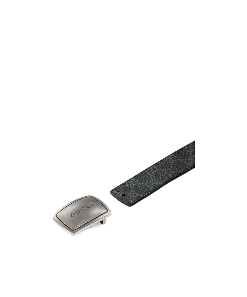 Belt With Plaque Buckle