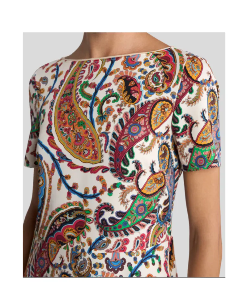 Paisley Printed Short Sleeved Midi Dress