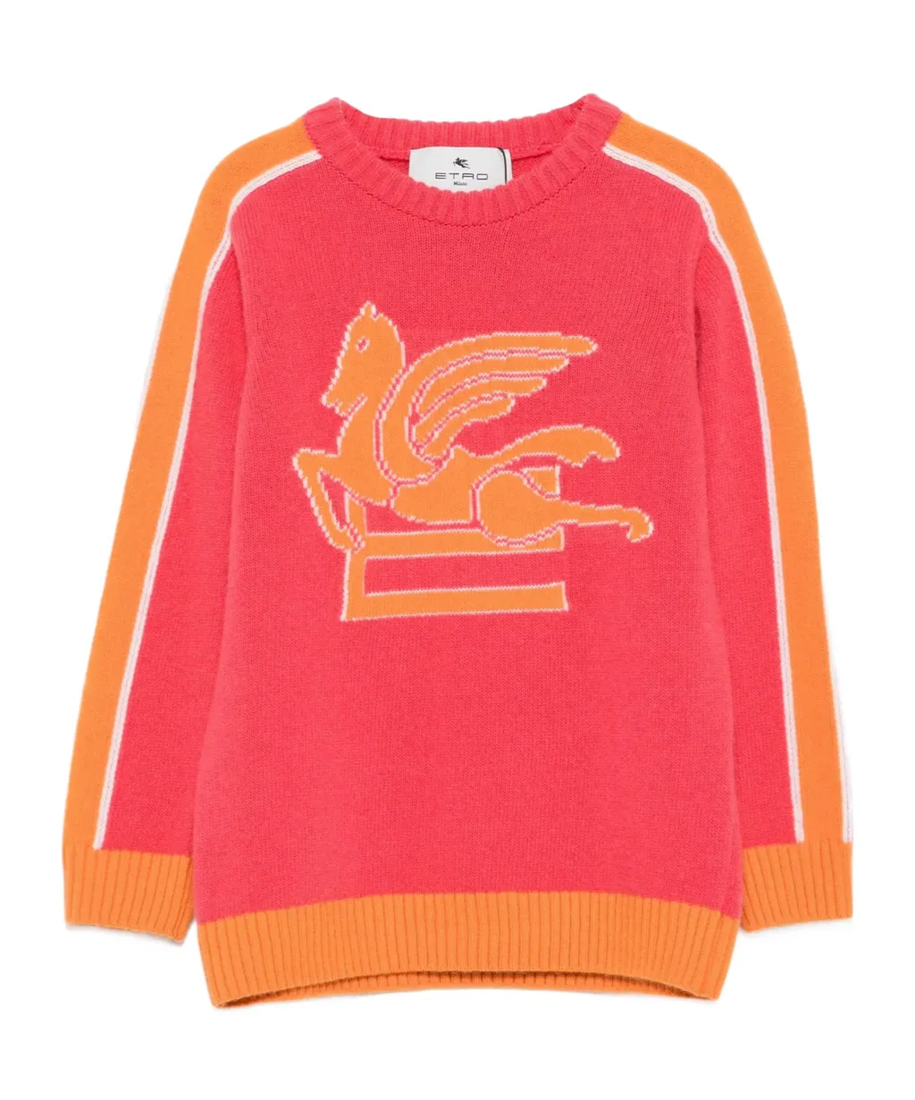 Sweater With Pegasus Motif