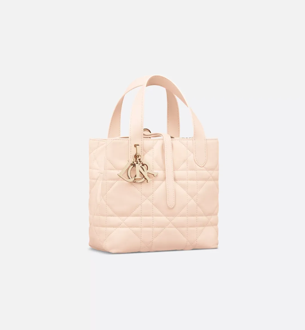 Dior Toujours Vertical Handbag
