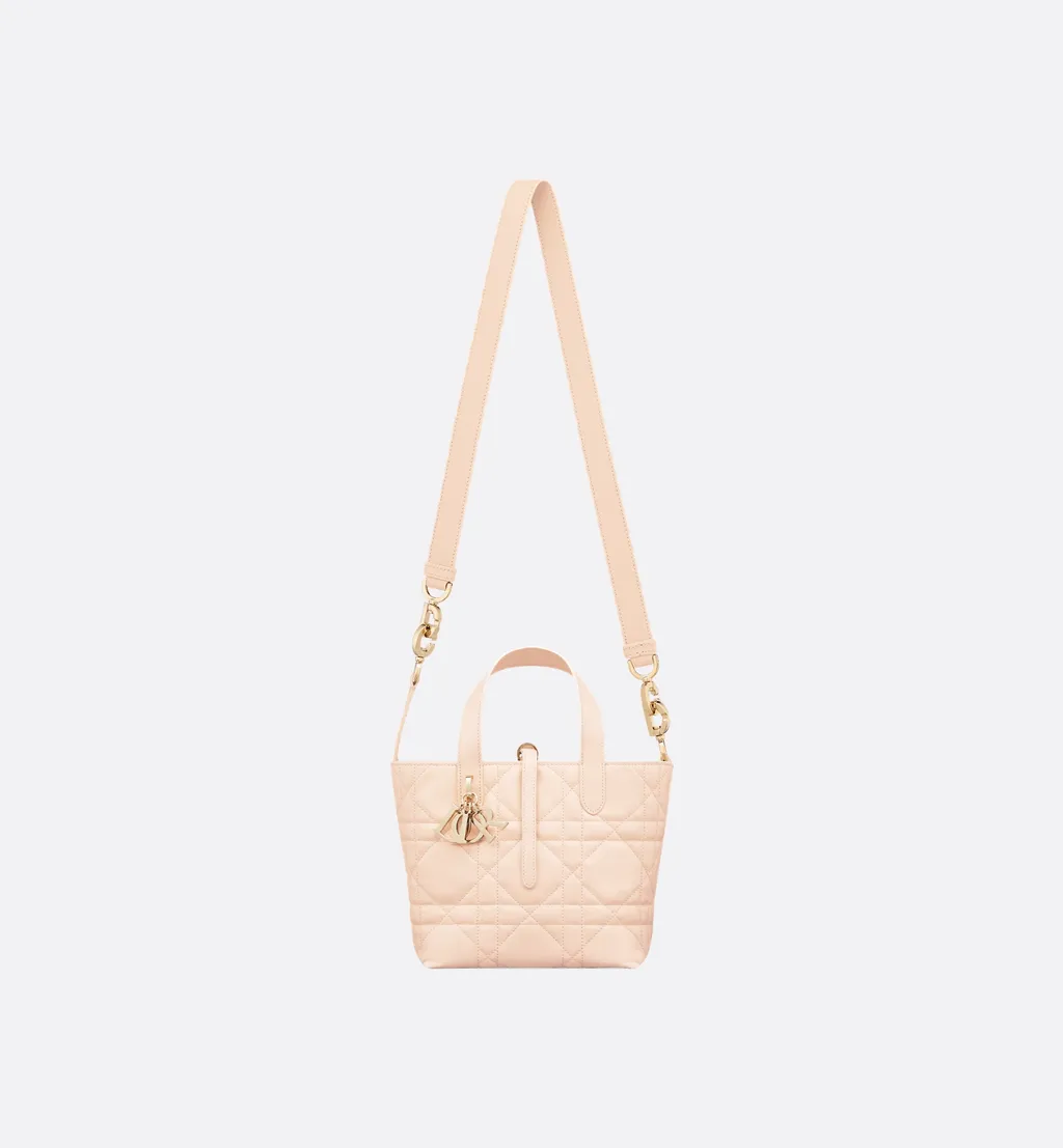 Dior Toujours Vertical Handbag