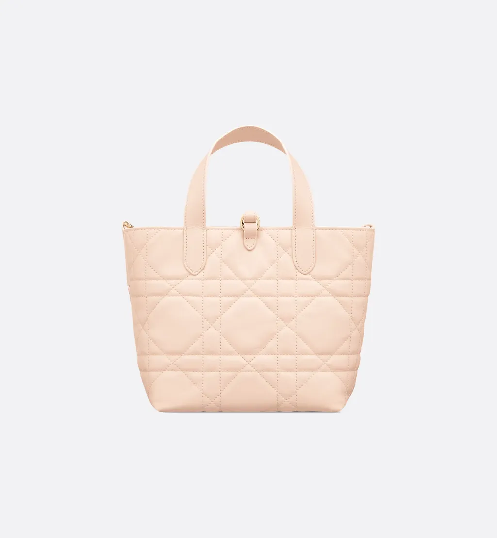 Dior Toujours Vertical Handbag