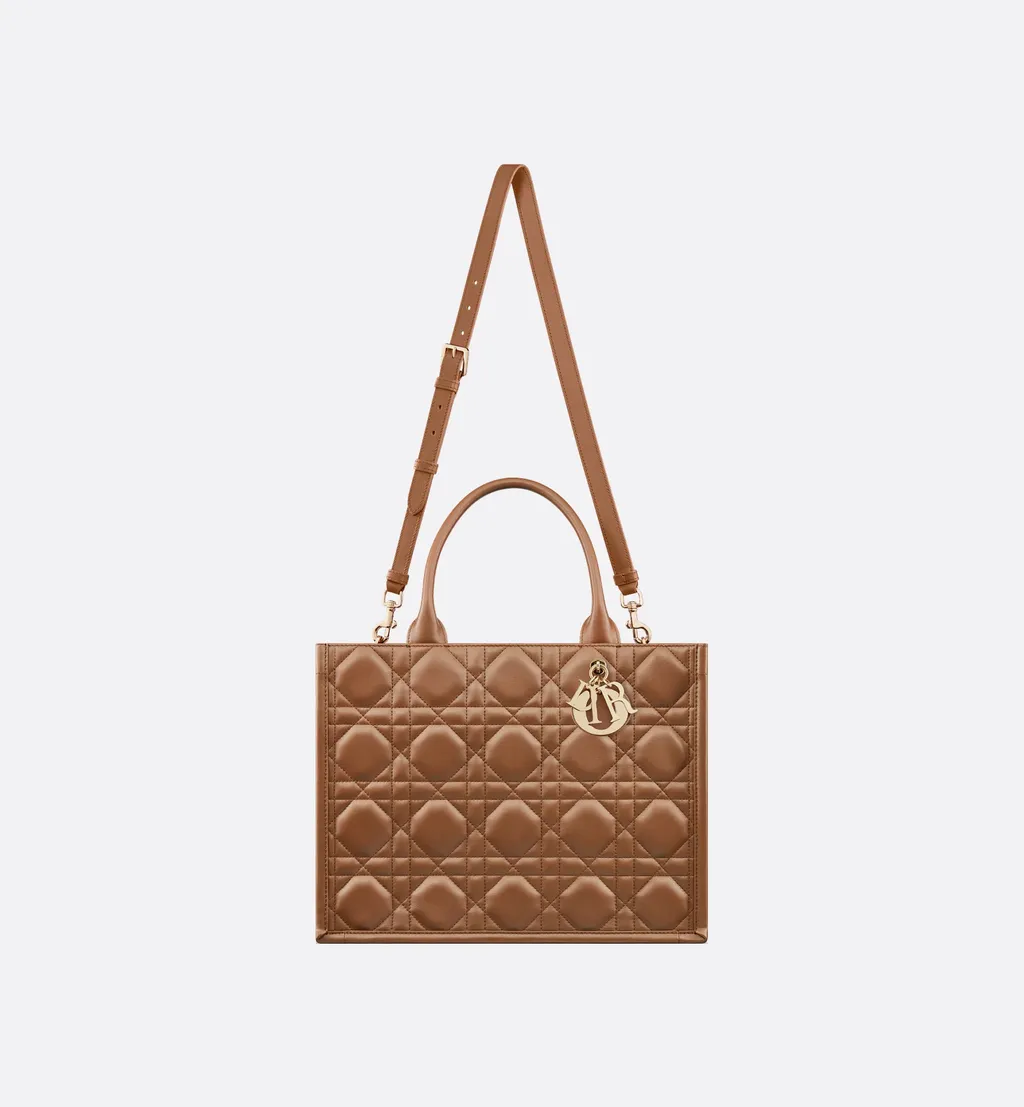 Medium Dior Book Tote