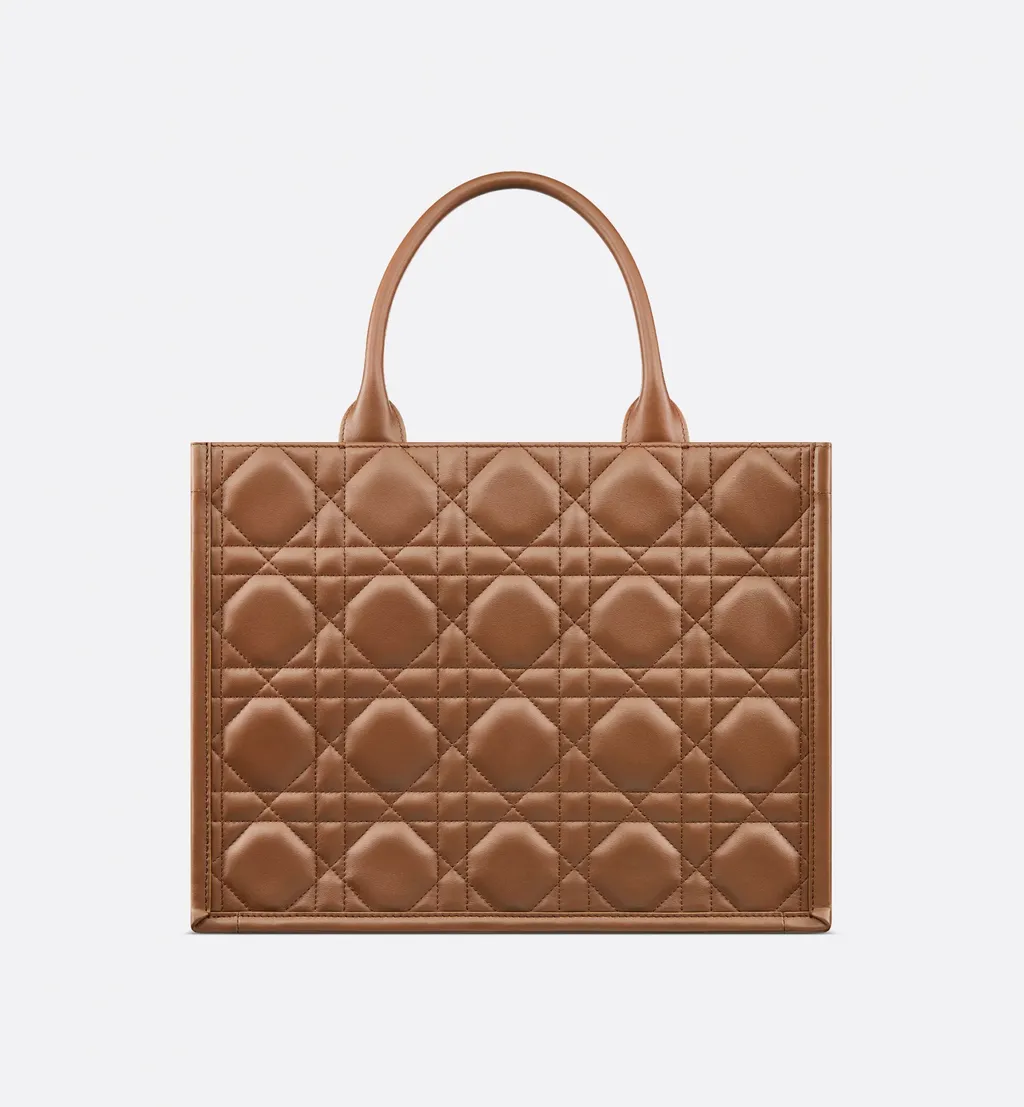 Medium Dior Book Tote