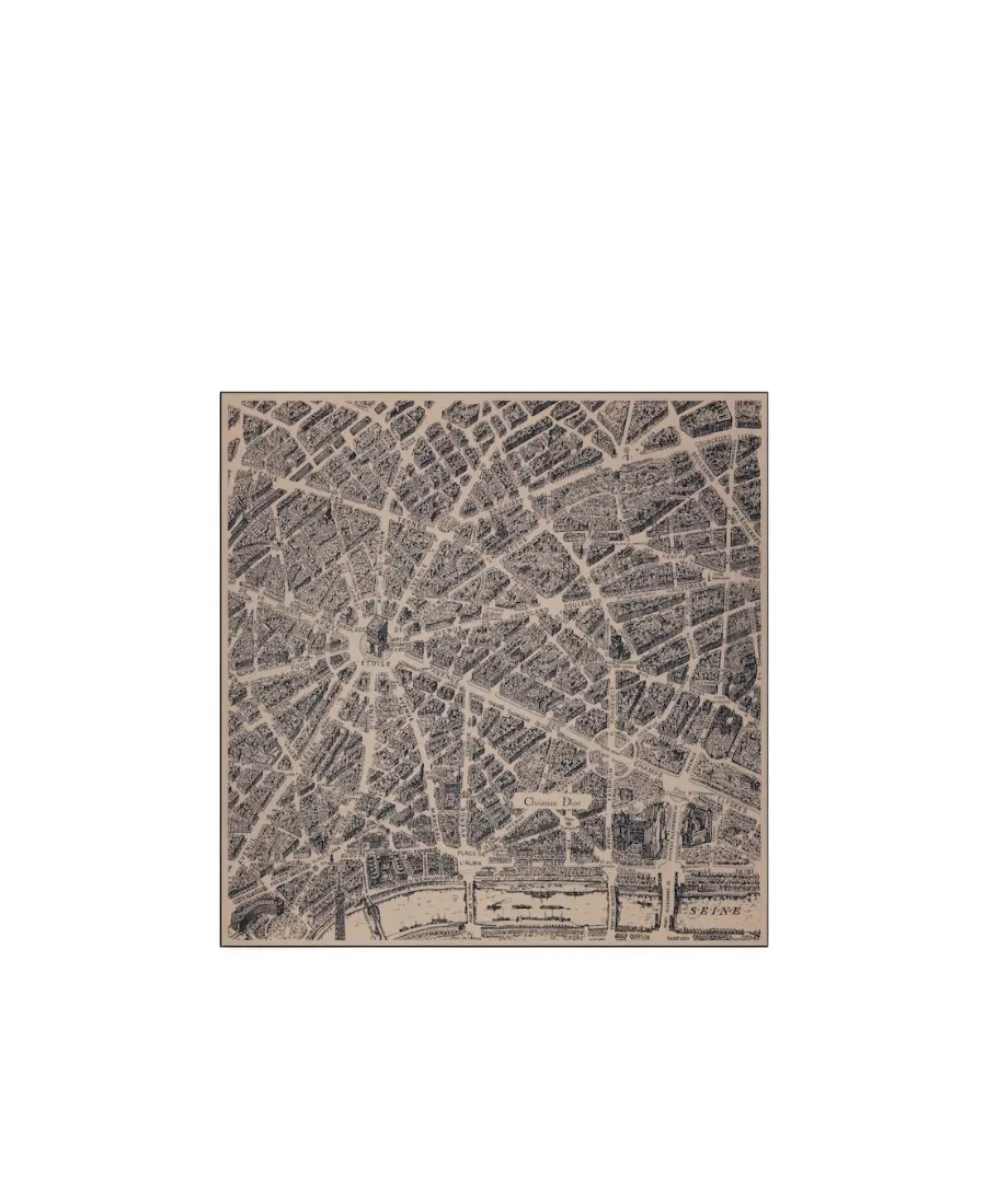 Plan De Paris Shawl