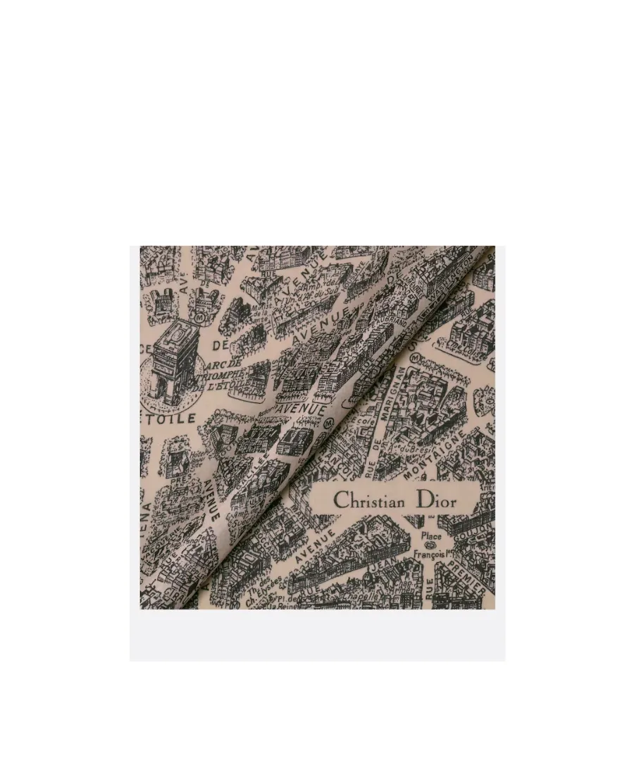 Plan De Paris Shawl