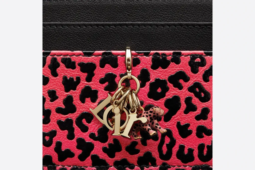 Lady Dior Card Package