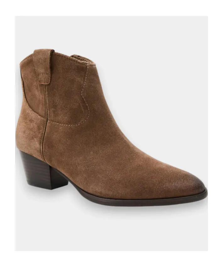 Pointed Ankle Boots