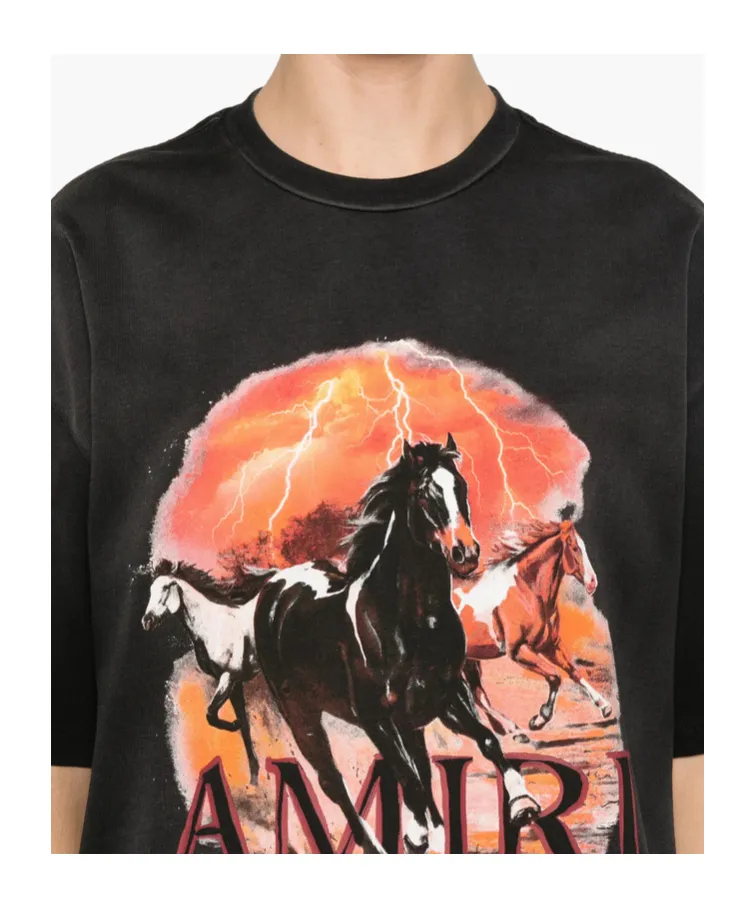 Plains Graphic T-Shirt