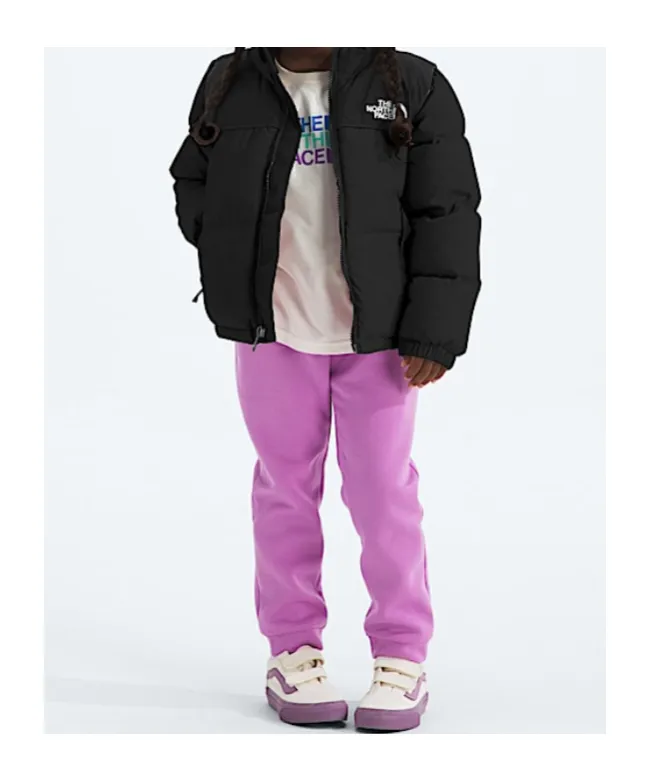 1996 Retro Nuptse Jacket