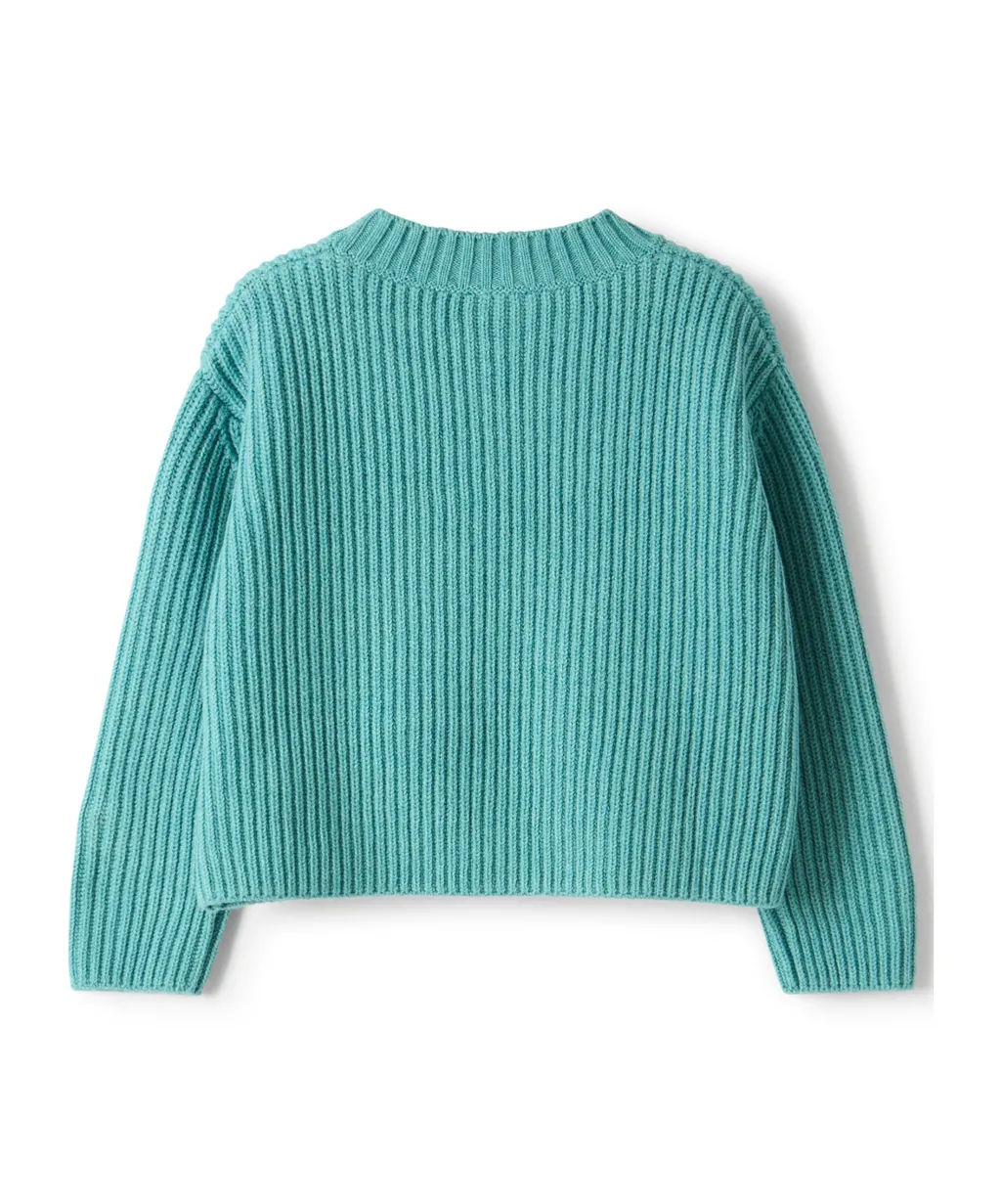 Long-Sleeved Crew Neck Pullover