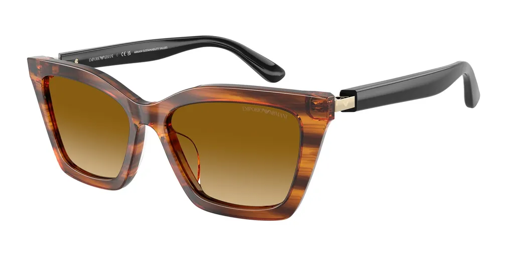 Full Frame Sunglasses
