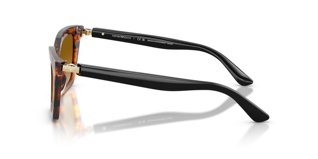Full Frame Sunglasses