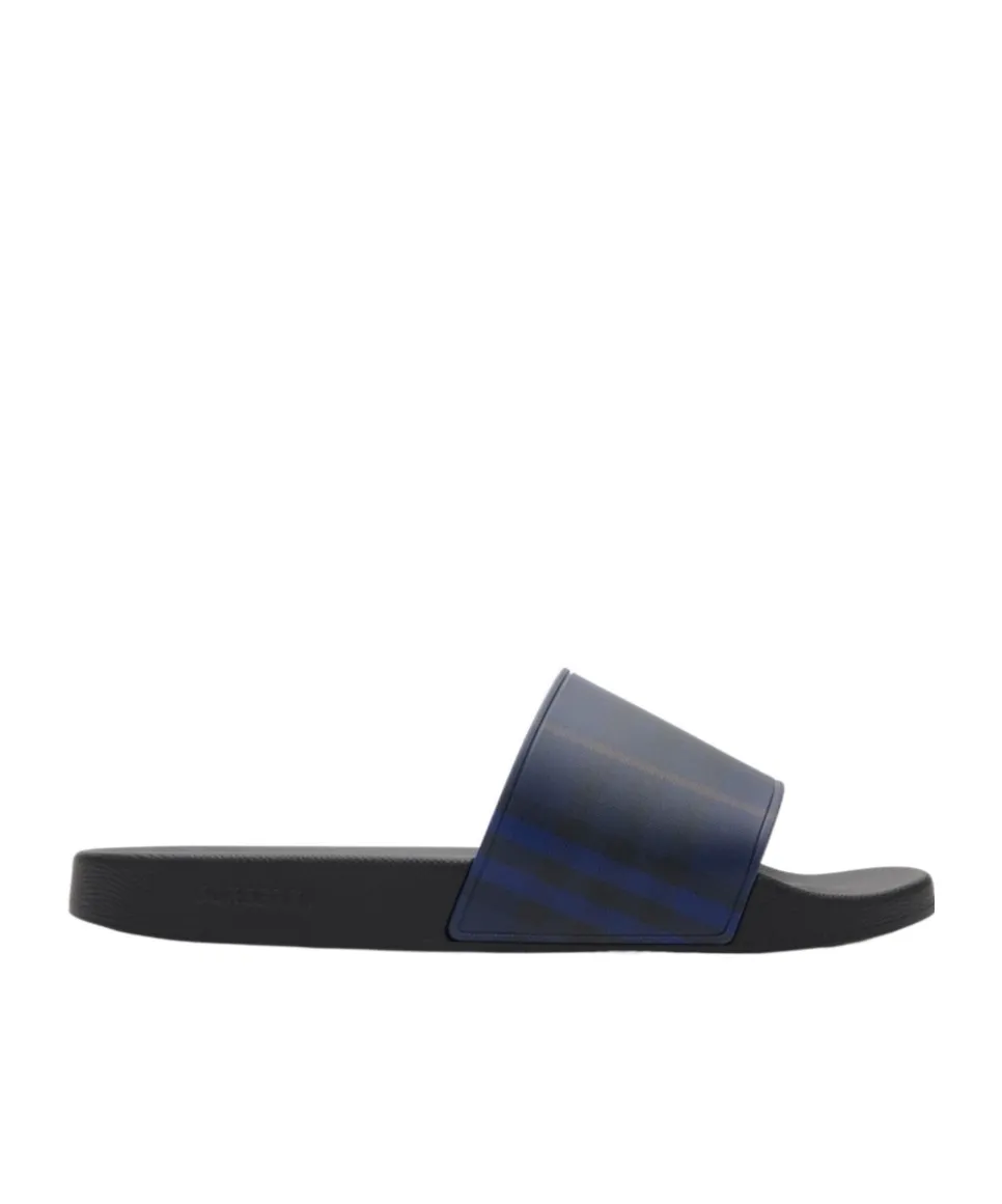 Check Slides