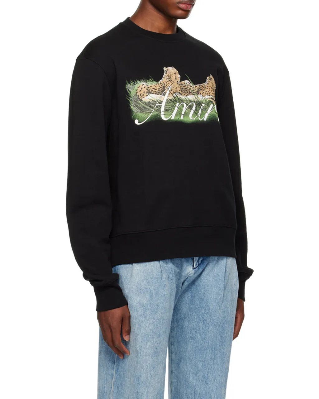 Graphic Printed Crewneck Sweatshirt
