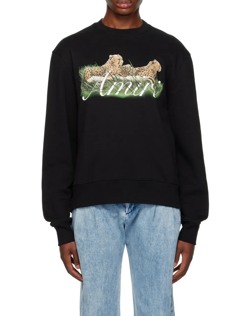 Graphic Printed Crewneck Sweatshirt