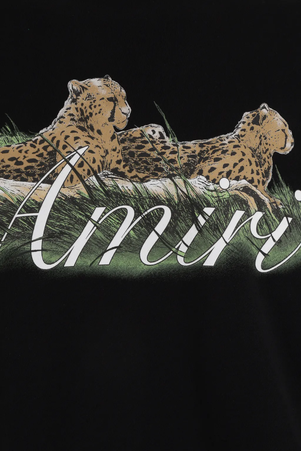 Graphic Printed Crewneck Sweatshirt