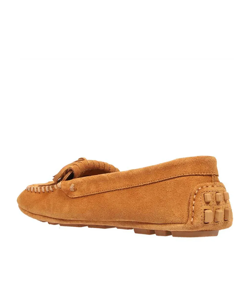 Logo Moccasins