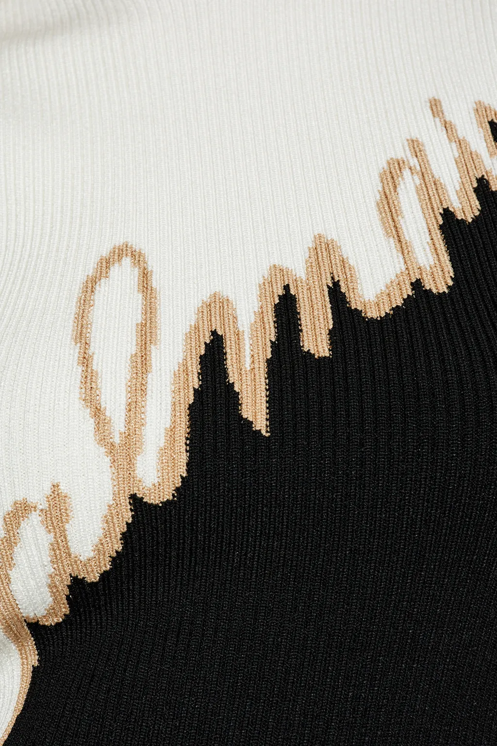 Logo Intarsia Turtleneck Ribbed Top