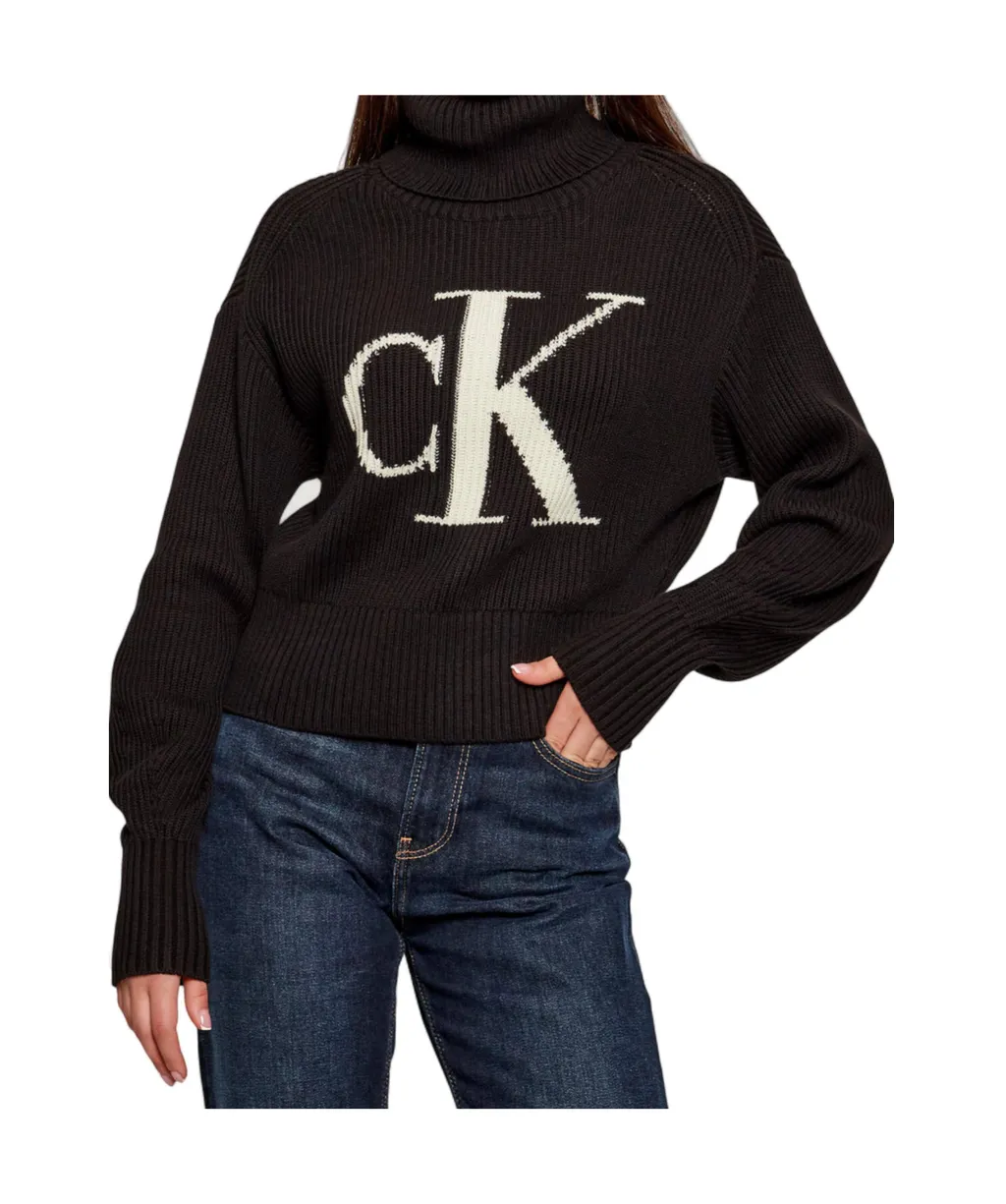 Turtleneck Knitted Pullover