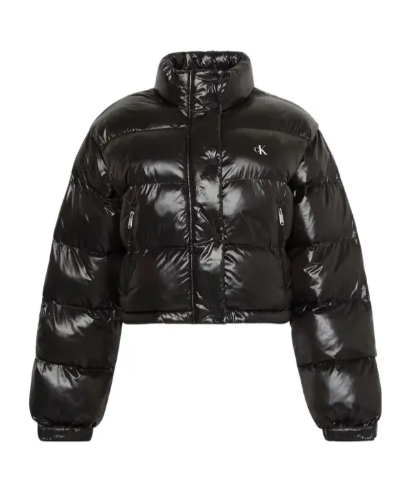 High Neck Crop Shiny Down Jacket
