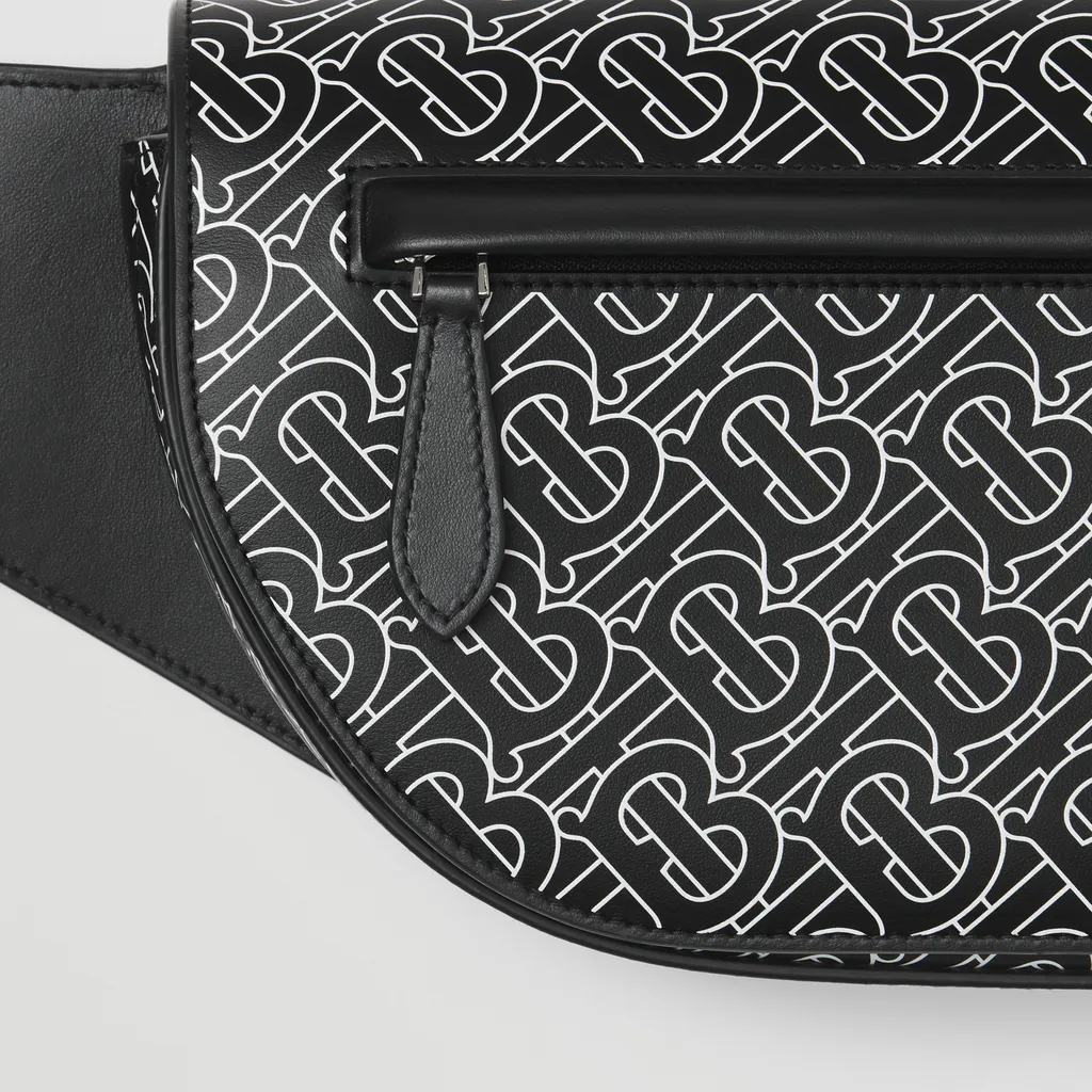 Olympia Belt Bag